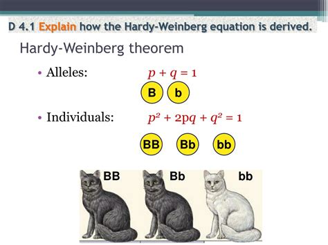 Ppt Option D Evolution D4 The Hardy Weinberg Principle Powerpoint