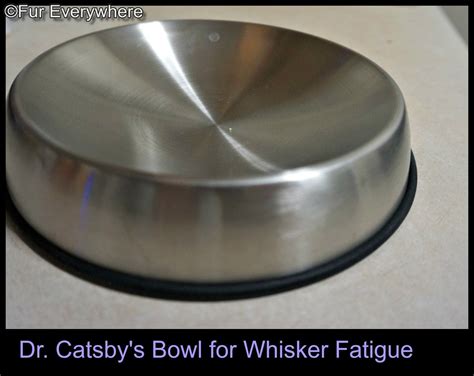 If your feline companion needs a shallow cat dish to avoid whisker fatigue but you cannot afford the expensive bowls, the lorde dishes are a fantastic choice. Fur Everywhere: Dr. Catsby's Bowl for Whisker Fatigue ...