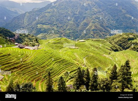 Green Agriculture China Guilin Hi Res Stock Photography And Images Alamy