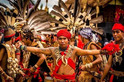 Suku Dayak Asal Usul Ciri Kebudayaan Dan Sejarah