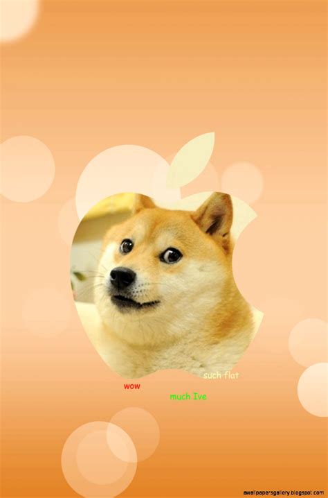 Doge Iphone Wallpaper Wallpapers Gallery
