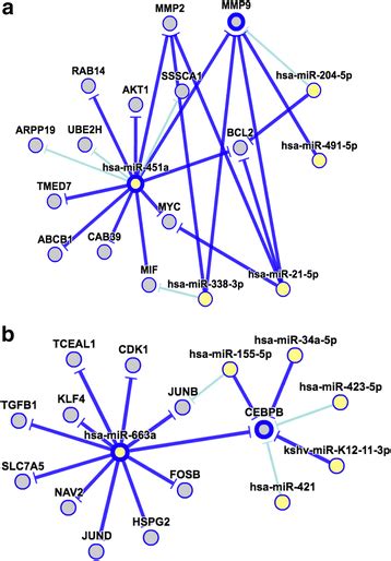 microrna gene set enrichment networks mature hsa mir 451a potentially download scientific