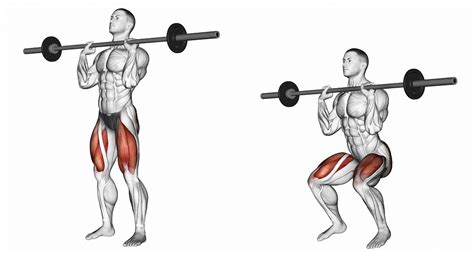 Dumbbell Squat Vs Barbell Squat Whats The Difference Inspire Us