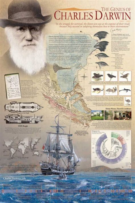 The Genius Of Charles Darwin Posters At Darwin