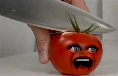 Tomato Season 3 Annoying Orange Wiki The Annoying Orange Encyclopedia