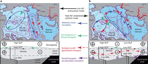 Schematic Views Of The Idealized Arctic Ocean Circulation Patterns