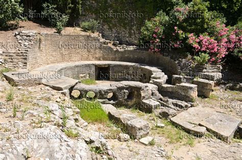 Bild Castellum, Nîmes, Frankreich - 557286 - Bilder von Pflanzen und ...