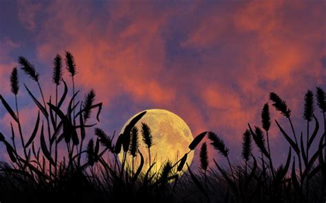 Download Silhouette Sunset Artistic Moon Hd Wallpaper