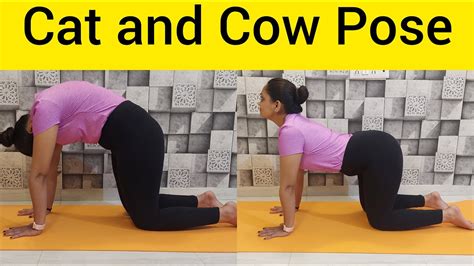 Marjariasana Bitilasana Cat And Cow Pose