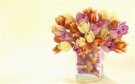 Plants Flowers Tulips Bouquets Hd Wallpaper Pxfuel