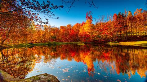 5 Great Destinations To Enjoy Fall Foliage Laptrinhx News