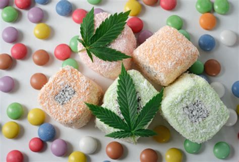 Growth Of Cannabis Edibles And The Potential Impact On The Workplace