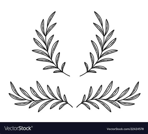 Hand Drawn Olive Branches And Wreath On White Vector Image