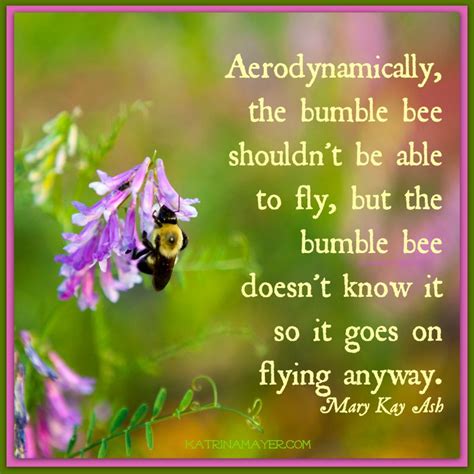 Quotes Katrina Mayer Fly Quotes Bee Happy Thoughts