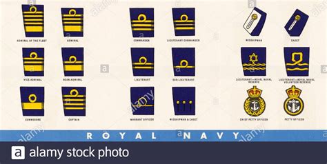 Ranks And Insignia Of The British Armed Forces Royal Navy From Ww2