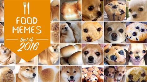 The 10 Best Food Memes Of 2016 Ranked Food Meme Paste