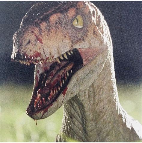 123 Best Tlw Images On Pholder Jurassicworldevo Jurassic Park And