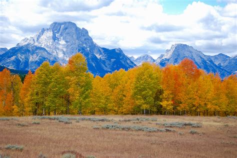 Trees Autumn Mountains Wallpaper Hd Nature 4k Wallpapers Images
