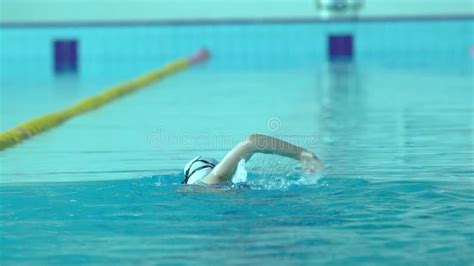 Professional Swimmer Practicing In Water Swimming Pool Stock Footage