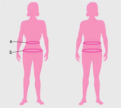 We'll discuss averages, ratios, and why a waist circumference isn't the only indicator of health. A Contrapposto Pose Makes Women Look More Attractive ...