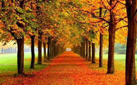 Podzimní Pozadí Pro Pc 43 Nejkrásnějších Podzimních Pozadí Topdencz