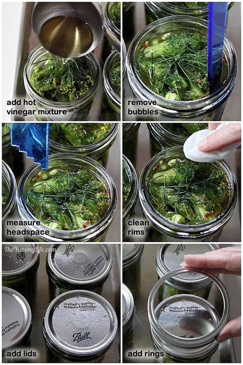 The Best Dill Pickles An Easy Recipe For Refrigerater Pickles Or
