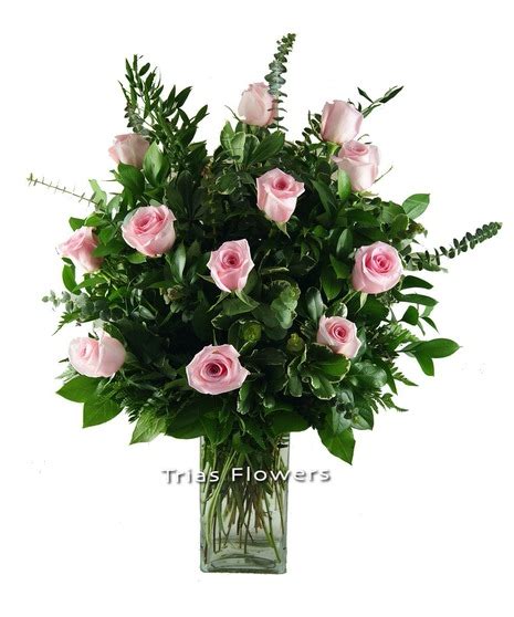 One Dozen Pink Roses Miami Same Day Pink Rose Delivery By Trias Flowers