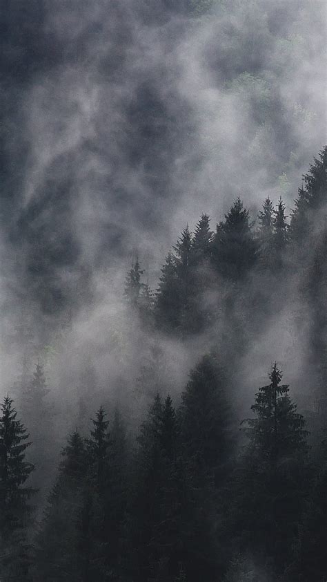 Dark Forest Fog Horror Moody Nature Night Smoke Trees Hd Phone