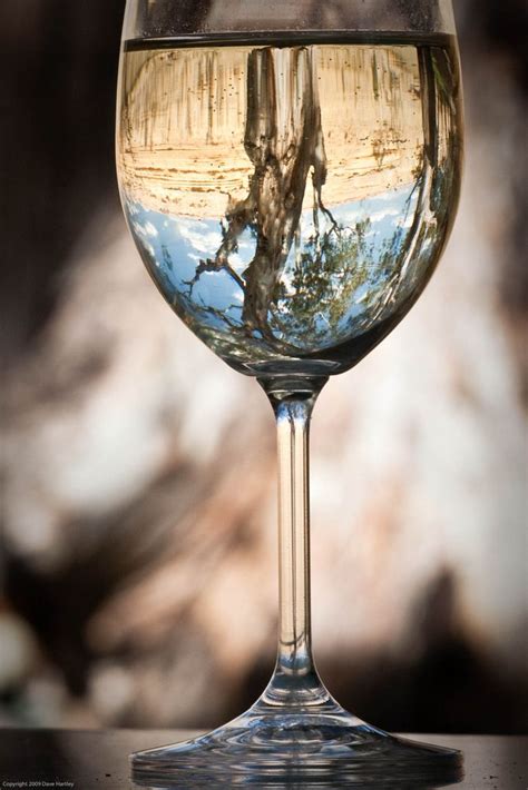 Glass Wine Wine Glass Reflection Photography Glass Photography