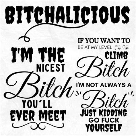 Bitch Mode On Svg I M The Nicest Bitch You Ever Meet Svgbitch Quotes