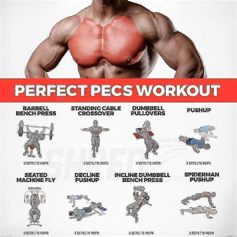 Pin By Dan123452 On Fitness Practicestuff I Actually Do Chest