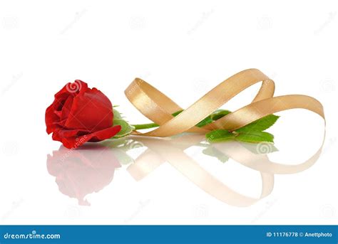 Red Rose With Silk Ribbon Stock Photo Image Of Holiday 11176778