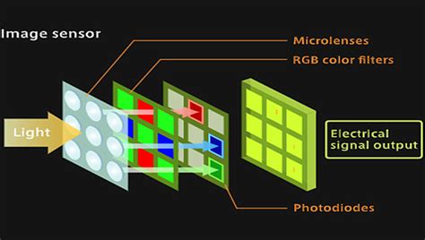 Difference Between Ccd And Cmos Image Sensors Wodwin