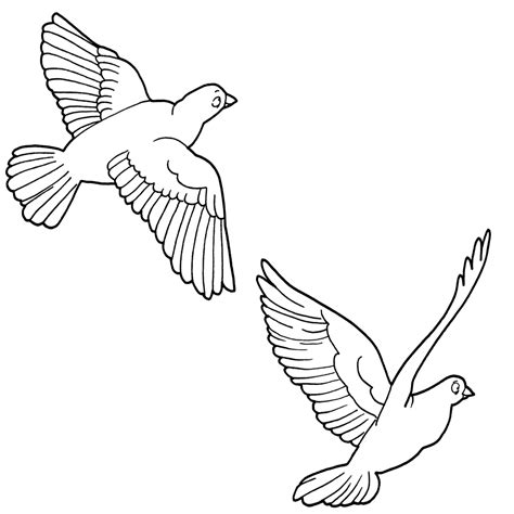 White Flying Bird Clipart 10 Free Cliparts Download Images On