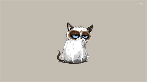 Cool Grumpy Cat Wallpaper Cat Meme Desktop Background Hd Sexiz Pix