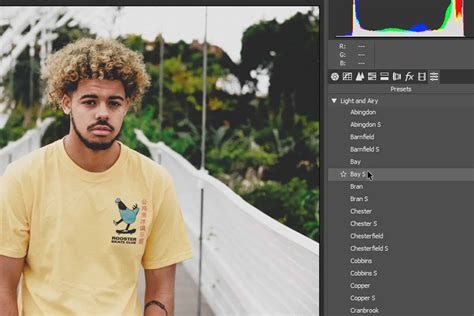 How To Use Lightroom Presets In Photoshop Tutorial Pulse