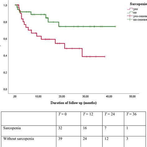 Kaplan Meier Overall Survival Curves And Number At Risk Table For