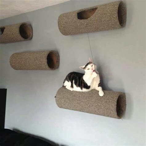 cool tube cat wall cat room cat wall cat furniture