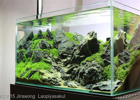 Aquascape is the only aquatic store in dubai that is dedicated to aquascape. Nano Aquascape - Unconditional Love - Jirawong ...