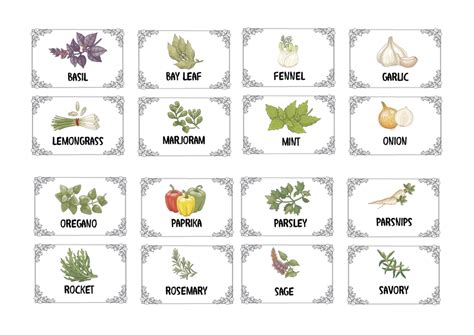 Herbs And Spices Illustrated And Plain Labels Graphic By Angela H Evans