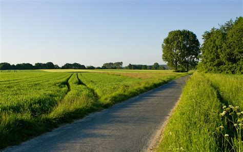 Road Through A Green Field Wallpapers 1680x1050 660119