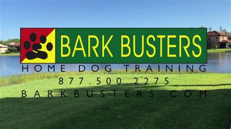 Bark Busters Home Dog Training Youtube