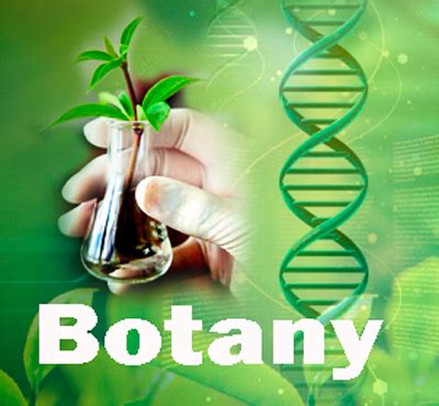 Botany Course Details - Eligibility, Fees, Career Scope, and Job Prospects