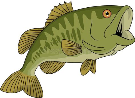 Bass Fish Cartoon Stock Vector Illustration Of Full 24673998