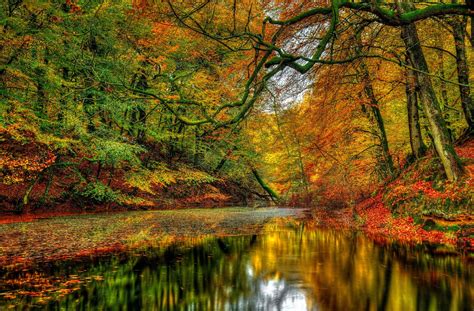 Download Reflection Fall Forest Nature River Hd Wallpaper
