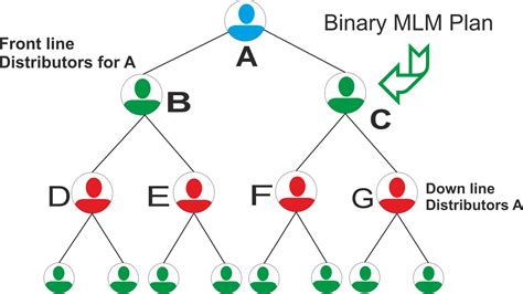 Best Mlm Plan Binary Mlm Software Binary Mlm Calculator Plan By