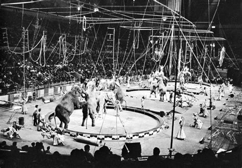 Ringling Brothers Biographies Circus And Facts Britannica