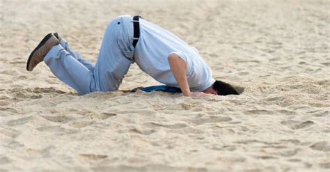 Best Hiding Head In Sand Stock Photos Pictures And Royalty Free Images