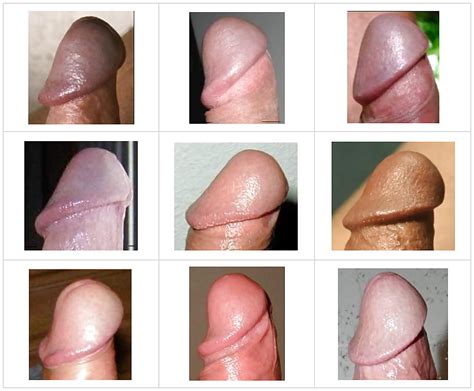 The Different Shapes Of Men Penises Xxx Porn