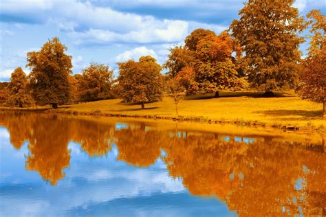 배경 화면 햇빛 나무 경치 화려한 가을 호수 자연 반사 하늘 공원 푸른 저녁 아침 계절 강 주황색